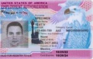 Report: Visa programs are over crowded, lower wages