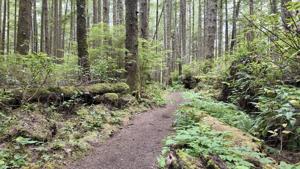 New park fee for foreign tourists could generate hundreds of millions