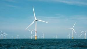 Judge rules against Trump's freeze on wind energy