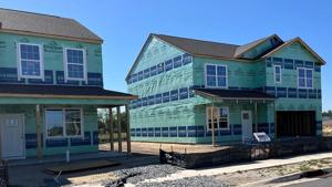 Bill filed to address loss of homes, equity over property tax debt
