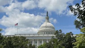 Former GOP lawmaker urges regulators to block potential Netflix-Warner Bros. merger