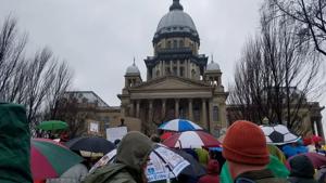 Illinois gun owners plan rally in wake of Supreme Court order
