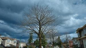 Illinois Quick Hits: Tornadoes, storms cause damage, outages