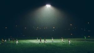 World Cup: Economic impact equation includes displaced regular tourism