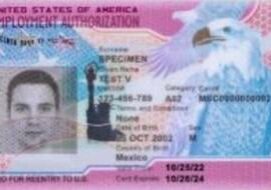 Report: Visa programs are over crowded, lower wages