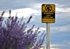 Illinois quick hits: ICC approves smaller rate increases