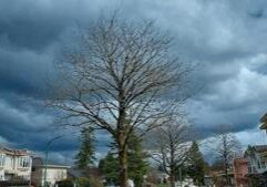 Illinois Quick Hits: 26 tornadoes confirmed in Illinois, NW Indiana last week