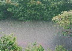 Arthur hammers Louisiana; flood threat persists along Gulf Coast