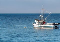 Fishermen advocate begins campaign against offshore wind, ‘industrializing’ of the ocean