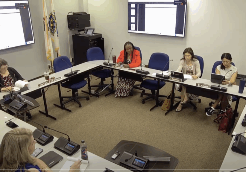 Will-County-Public-Health-Safety-Committee-Meeting-July-3-2025 Will-County-Public-Health-Safety-Committee-Meeting-July-3-2025